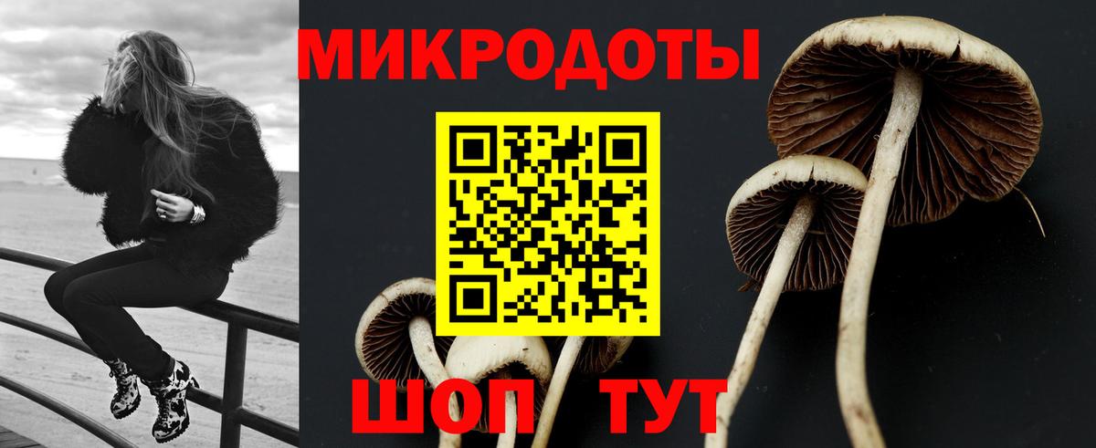 Галлюциногенные грибы GOLDEN TEACHER  Вход с VPN  Азов  Псилоцибиновые грибы мухоморы 